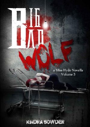 [Miss Hyde Novellas 03] • Big Bad Wolf